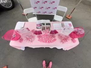 the pink journey foundation table